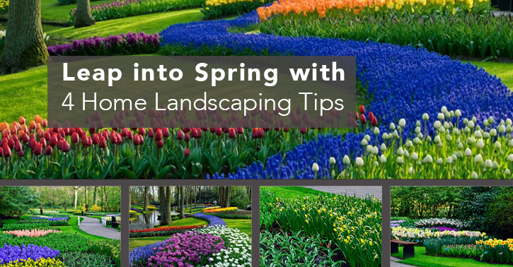 Spring Landscaping