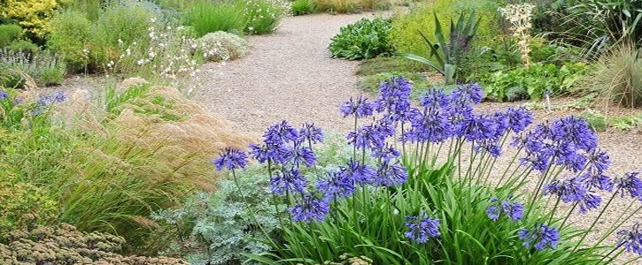 Sizzling Summer Landscaping Trends For The Outer Banks Saga