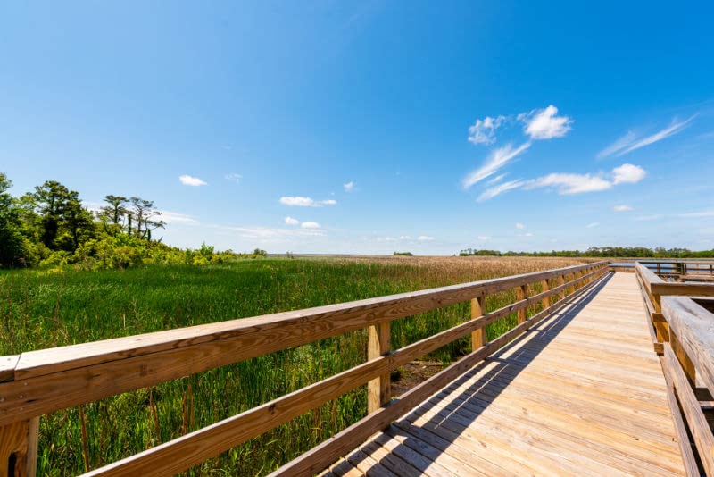 Cambridge-Cove_dock community pier by SAGA