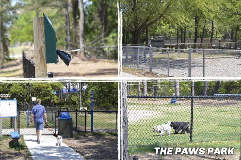 New to the Outer Banks in 2019 is the 1.5-acre dog park called The Paws Park in Kill Devil Hills