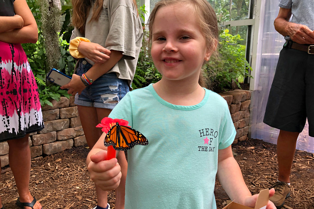 Elizabethan Gardens worth your visit SAGA family event Outer Banks butterfly2