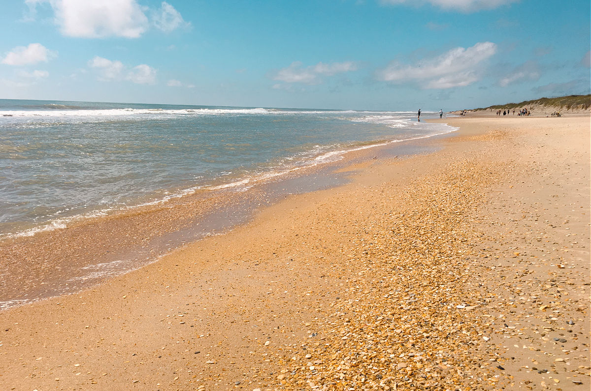 Family fun Hatteras Style Clam Chowder go clamming Outer Banks SAGA realty and construction