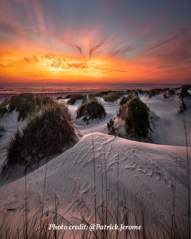 Pea Island NWR by instagrammer Patrick Jerome shared by SAGA Outer Banks