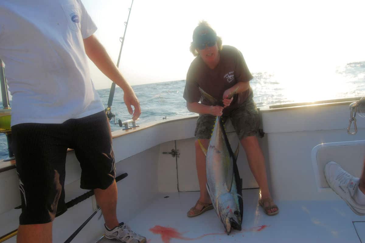 Tuna_Yellowfin Outer banks