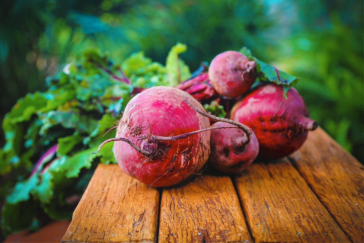 beets for the Fall salad from Chef Tony Duman at Outer Banks Brewing Station