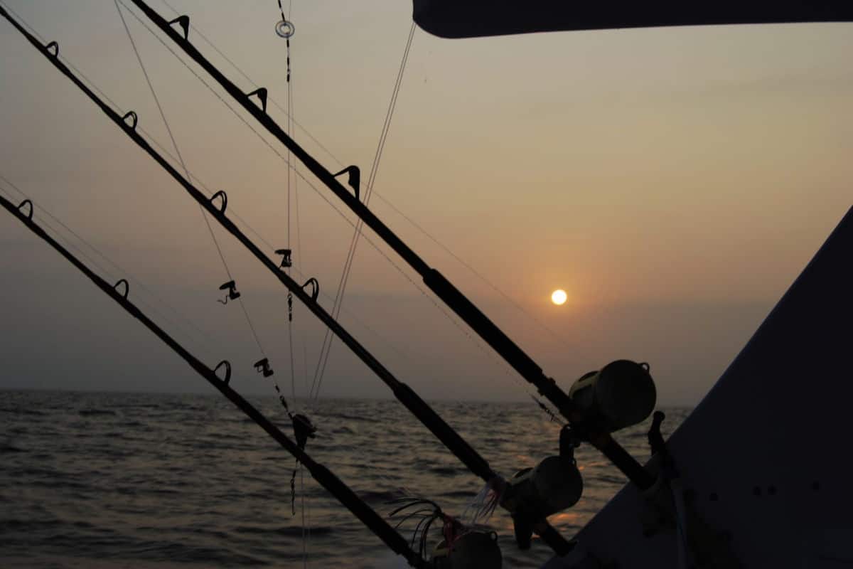 Experience the outer banks from a fishing charter boat OBX SAGA
