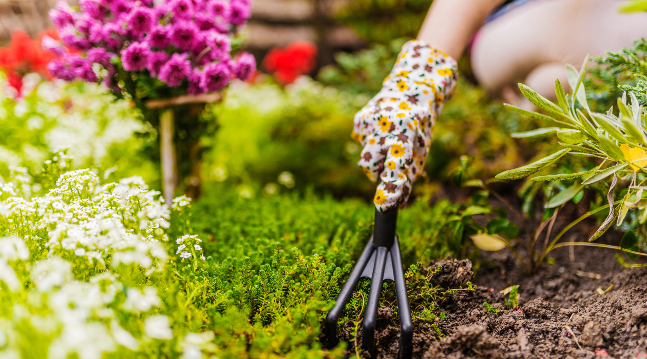 garden header 2