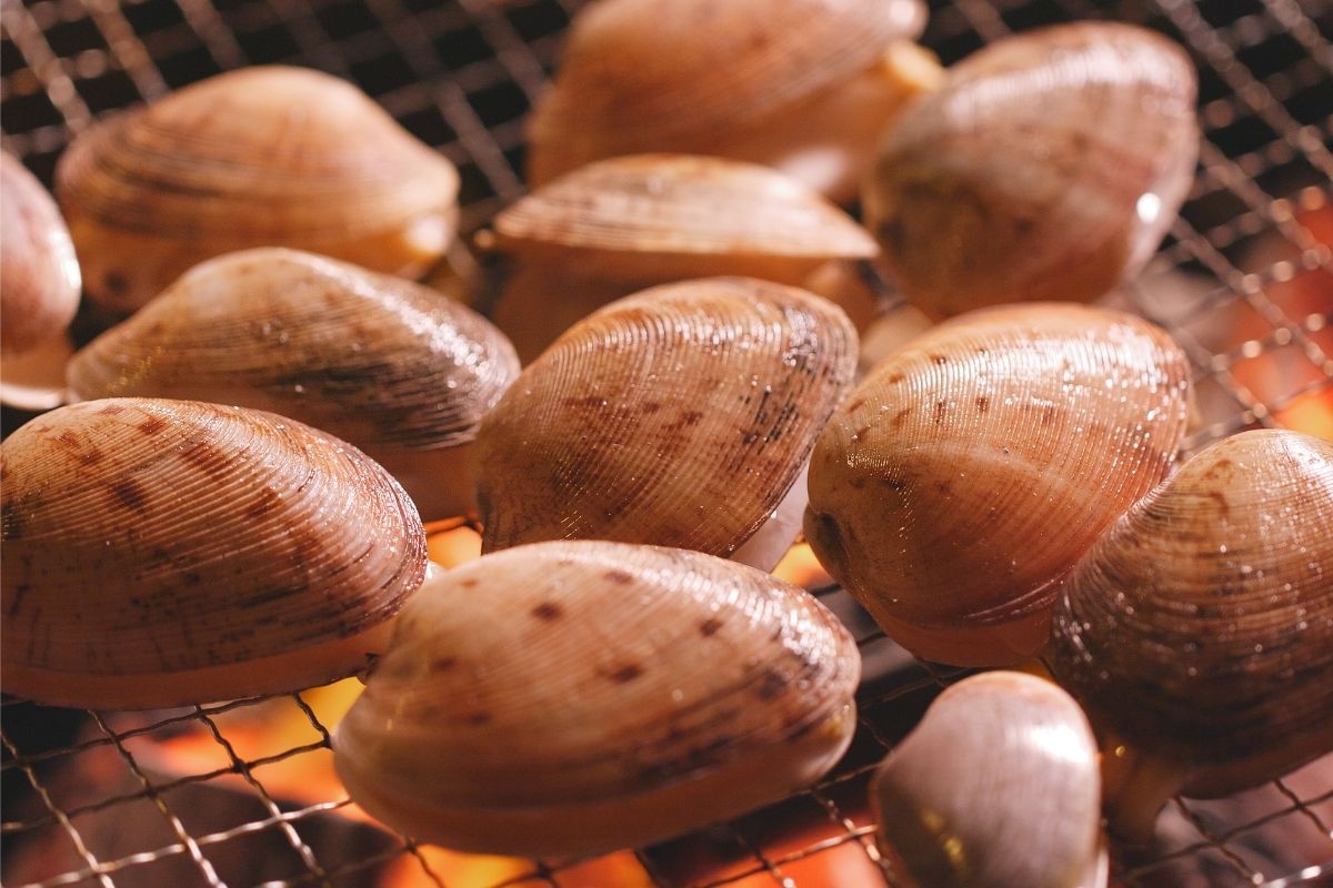 grill clams outer banks nc SAGA