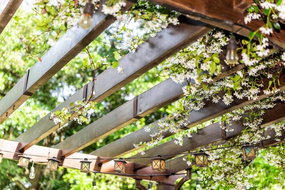 pergola with jasmine backyard spruce up outer banks obx by SAGA