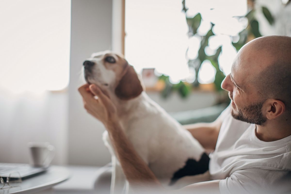 Selling your home when you have pets by SAGA