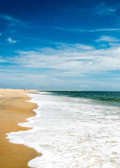 Best beachcombing and shelling on the Outer Banks by SAGA