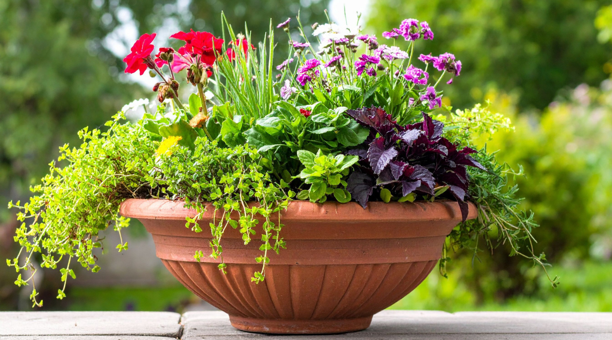 spring garden 1