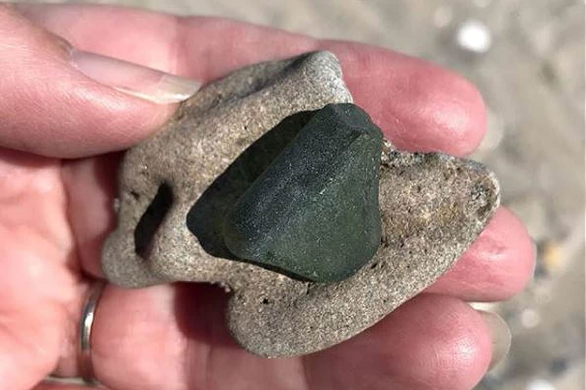 Beachcombing on the Outer Banks May Bring a Surprising Find - SAGA 