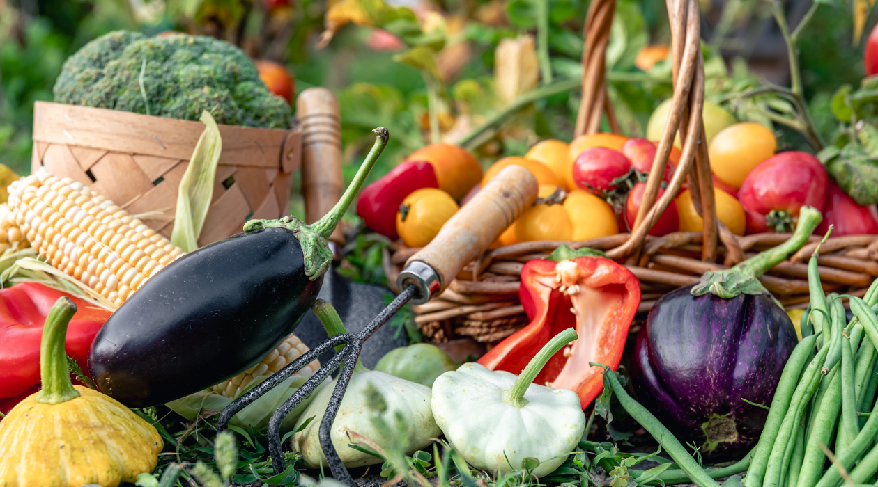 veg gardens